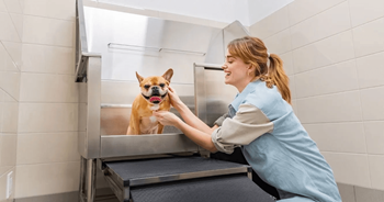 A woman is petting a dog in a grooming area.